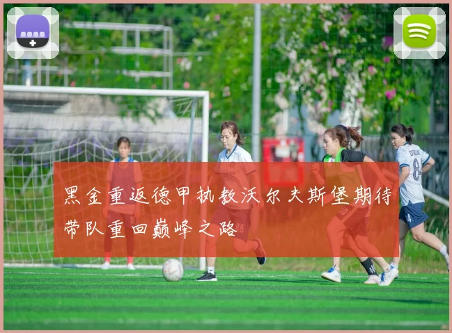黑金重返德甲执教沃尔夫斯堡期待带队重回巅峰之路
